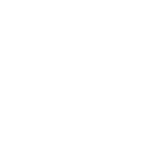 ldi (2)